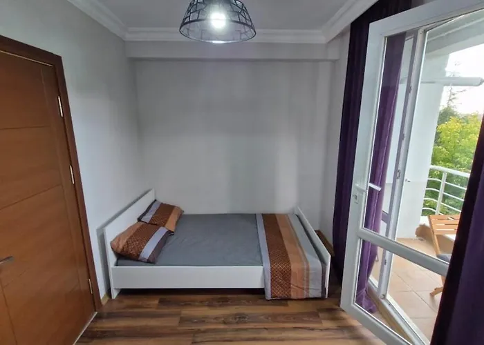 公寓 Sabina Gokcene 5 Dk 伊斯坦布尔